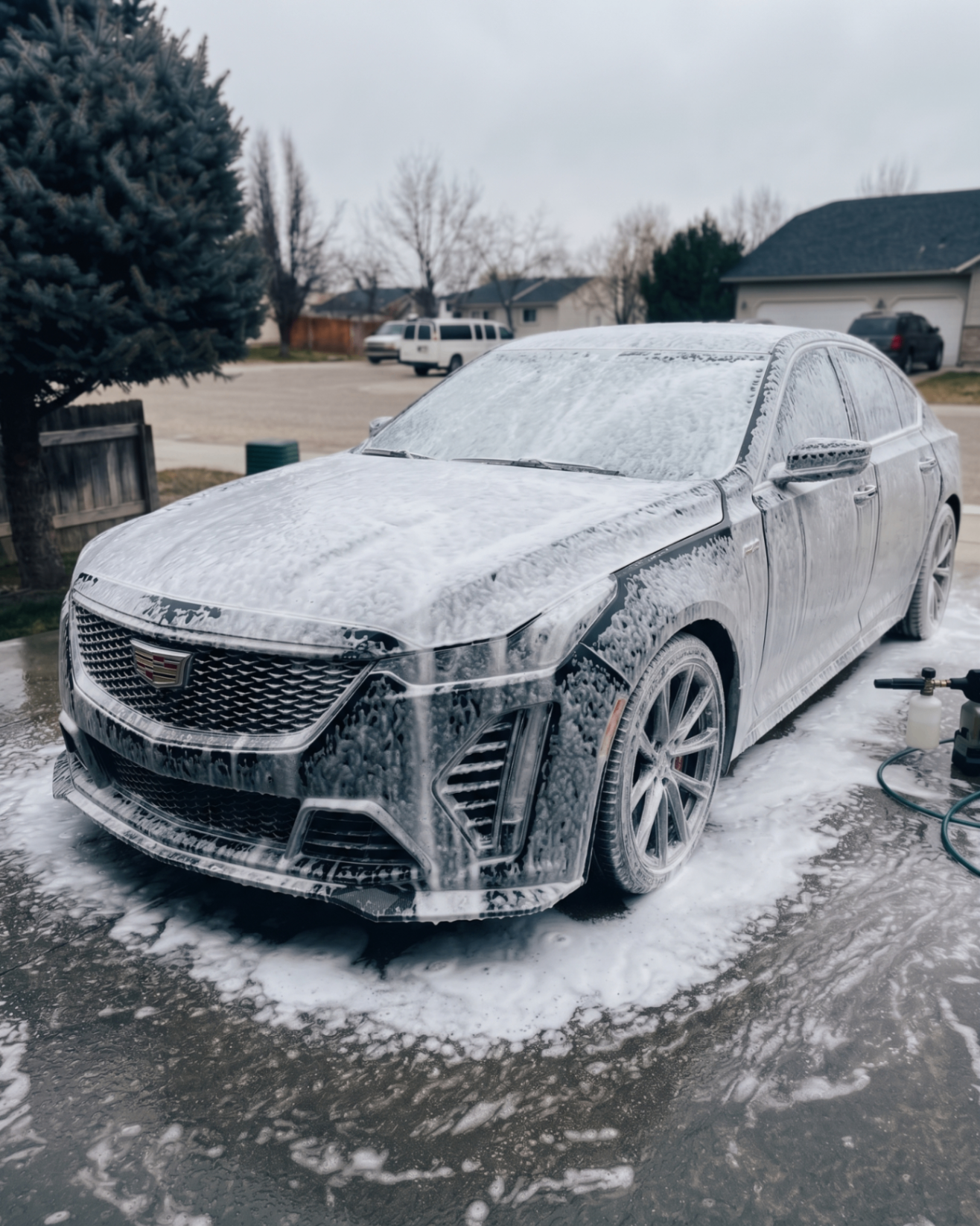 Basic Wash